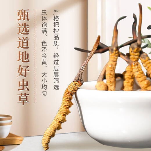 Cordyceps sinensis, 2 1 gram 10 gift boxes for large Cordyceps sinensis dry goods and gifts, 10 pieces [2 1 gram 5 grams]