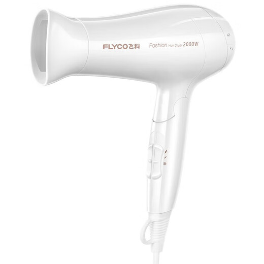 Séchante de cheveux Flyco Home High Power Hair Dryer Voyage Portable Hair Dryer Drive Hot and Cold Air Barber Pliage Fh6232 FH6232 White [2000W pliable]
