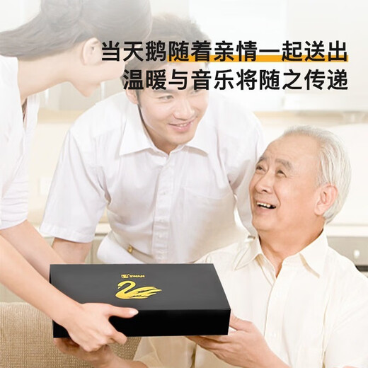 Swan (SWAN) imported German gong Swan harmonica polyphonic accent high-end beginners for men and women professional performance-level gifts for men and women 28 holes accent C tune [Professional performance-level]