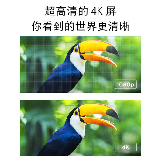 Xiaomi TV 4A 65-inch 4K Ultra HD HDR Bluetooth Voice Remote Control 2GB+8GB Artificial Intelligence Network LCD Flat Screen TV L65M5-AD/L65M5-5A