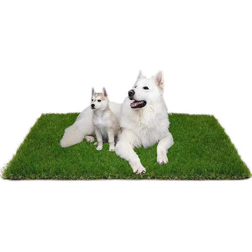 Guanxiang bird dog peeing toilet fake lawn pet peeing fake turf simulated lawn mat urinating carpet floor mat 20mm antibacterial high-efficiency urine grass 50cm*60cm