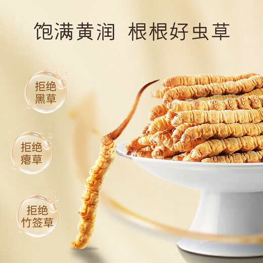 东阳光有机冬虫夏草3-4根/克  新干虫草滋补礼盒 虫草补品送父母长辈 10克【中国红经典礼盒】