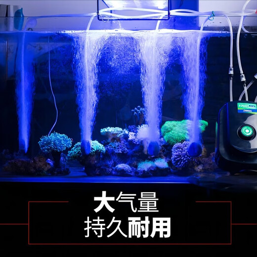 Tidal fish tank oxygen pump oxygen pump bass fish farming oxygen pump oxygen generator household small oxygen pump aquarium filter SB-948 four holes 8w + gas plate package