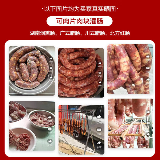 CAMOCA meat grinder, desktop household minced electric sausage sausage machine, small commercial enema machine, multi-functional meat mixer, cooking minced meat grinding machine, vegetables and garlic machine, beef and mutton, stainless steel body minced meat enema + shredded vegetable slices 5L MGL