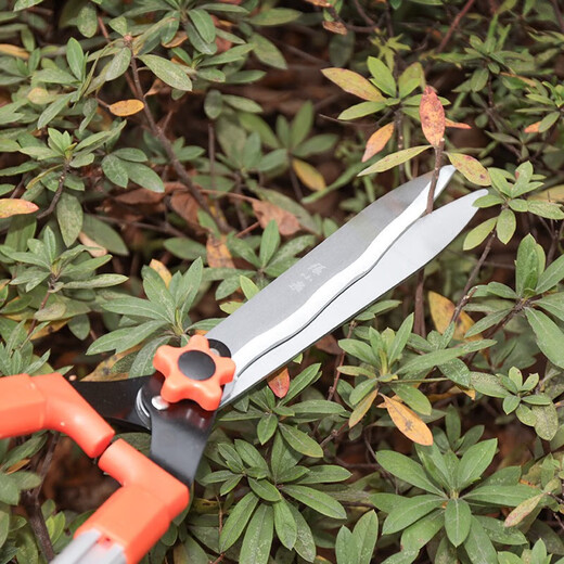 Zhang Xiaoquan Hedge Shears Telescopic Branch Shears Floral Scissors Aluminum Handle Fence Shears Lawn Shears Flower Bed Shears Gardener's Hedge Shears 640mm-S10560200