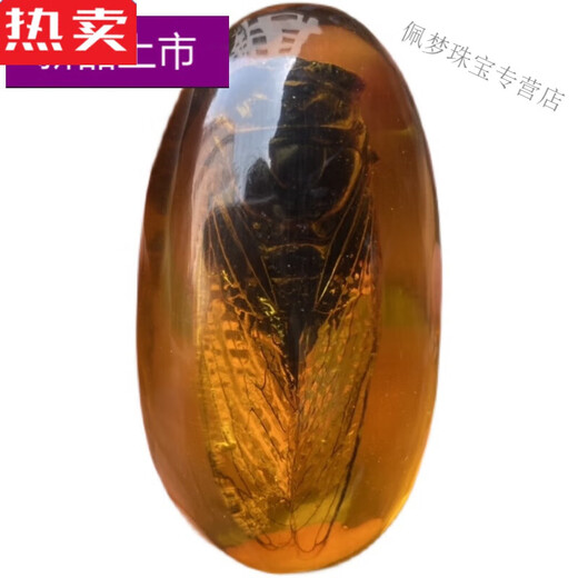 SNQP high-end quality amber insect specimens, artificial amber true cicada specimen pendants, hand-held insect amber centipedes