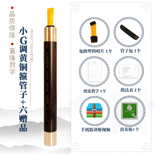 Wang Jiabiao Tränengaspfeifeninstrument aus Ebenholz, Anfänger-Erwachsenenflöte, Blasinstrument, nationale Musik, Flöte, die Volksmusik spielt, G-Tonart, kleine Messingreifenpfeife +6