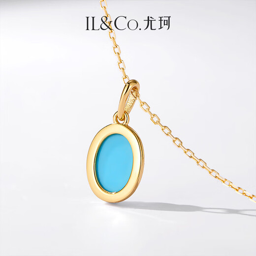 IL&CO Youke Natural Turquoise Necklace for Women Light Luxury S925 Silver Clavicle Chain Birthday and Valentine's Day Gift for Girlfriend S925 Silver Turquoise Necklace