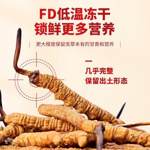 Tongfu Cordyceps sinensis 2 Wurzeln/g 50g etwa 100 Wurzeln Geschenkboxen, nahrhafte Nahrungsergänzungsmittel, Geschenke für Älteste