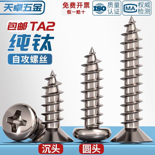 Tianzhuo Hardware National Standard TA2 pure titanium pan head umbrella head countersunk head large flat head flat head round head cross self-tapping screw M3M4M5mm countersunk head M5.5*25 2 pieces