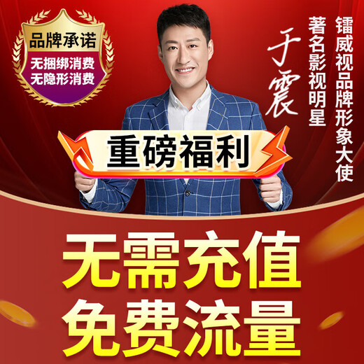 镭威视4g监控器无线摄像头无需连wifi终身免流量室户外防水高清农村家用商用360度全景无死角带夜视追踪 4G单画面【免充值】0费用+停电可续航 【家用】送64G高速卡