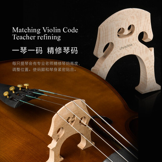 克莉丝蒂娜（Christina）大提琴儿童初学者专业级手工演奏级大学生成人乐器C04考级入门级 C04大提琴+琴包 3/4适合身高145cm左右