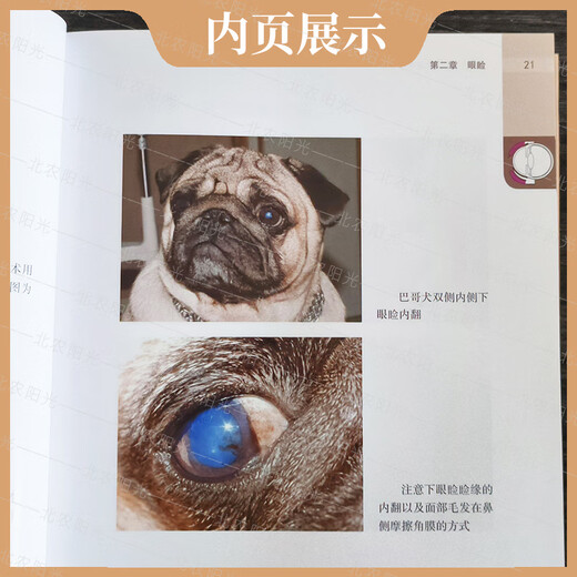 Beinong Sunshine Liberstore Guide rapide pour chien et chats Eye Science Pites PET des chiens et chats en ophtalmologie vétérinaire petits animaux plus de 1 300 images de couleur HD Un manuel de traitement simple et facile à comprendre pour les maladies pour les chiens et les chats