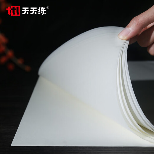 天天练8开30页熟宣书画纸 学生初学者书法国画宣纸毛笔字练习宣纸TN-5008