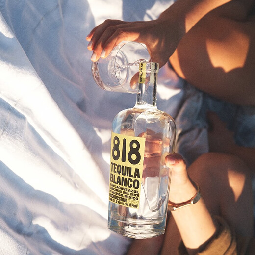 詹娜818金/银/陈酿龙舌兰酒TEQUILA肯达尔詹娜肯豆墨西哥进口洋酒 Blanco银龙舌兰 750mL 1瓶