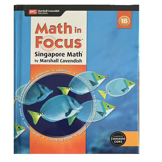 正版  美国小学数学教材和练习册 Math in Focus 系列 加州教材 英文原版数学美国课本 非新加坡课本 非新加坡教材 非新加坡教辅 2B教材正版精装一本