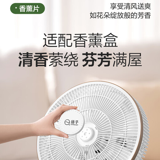 Yangtze electric fan air circulation fan table dual-use smart voice remote control home fan bedroom living room floor fan large air volume table fan seven-leaf light sound low noise eight-character shaking head fan white voice model aromatherapy + voice control + eight-character shaking head + table dual-use
