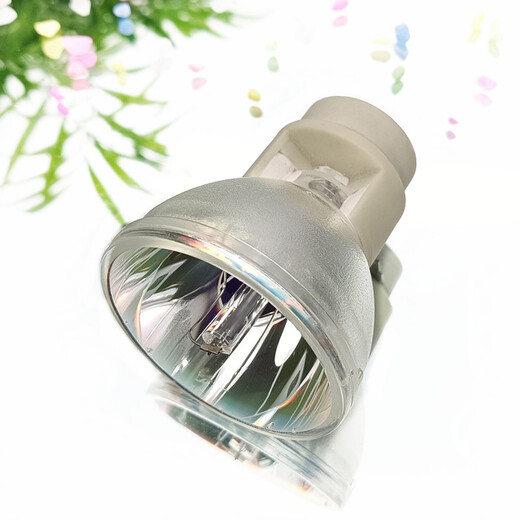 和谱森 适用于BENQ明基PL553C/MW535/SP2535S/ED058/TH681/EN9870/SP0531/AX542N/ED8E2全新投影机灯泡 和谱森灯泡（下单请备注型号） PW565