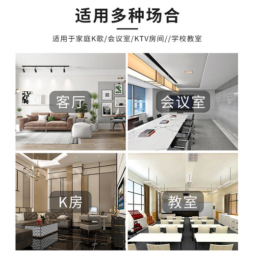 HYUNDAI现代专业会议室音响设备套装蓝牙功放培训教室舞蹈室家庭KTV背景音乐系统壁挂音箱 【两音响/四鹅颈】会议音响套装（50-120平）
