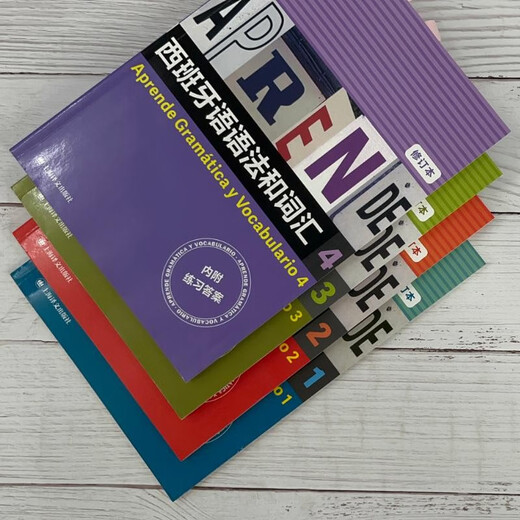 Spanische Grammatik und Wortschatz 1 (überarbeitete Ausgabe)