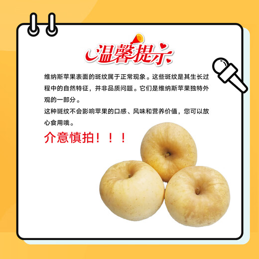Jingxiansheng Shandong Golden Venus Apple Net weight 3Jin Jin is equal to 0.5kg Single fruit 160g+ Fresh in season Straight from the source