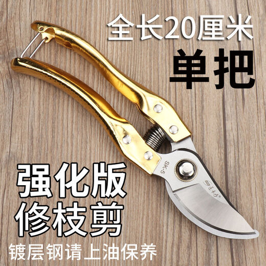 修枝剪子葡萄摘果剪 园林果树剪刀粗枝花剪 省力树枝修剪花的剪刀 H德14116高端直摘剪