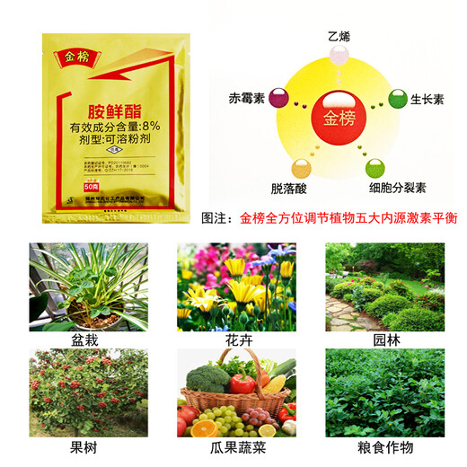 Senhuo Jinbang 8% Aminobutanol Lawn Seedlings, Garden Vegetables, Orchid Flowers, Drought and Cold Resistance, Stress-Resistant Green Growth Regulator