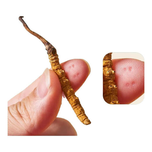 Cordyceps sinensis, 2 1 gram 10 gift boxes for large Cordyceps sinensis dry goods and gifts, 10 pieces [2 1 gram 5 grams]