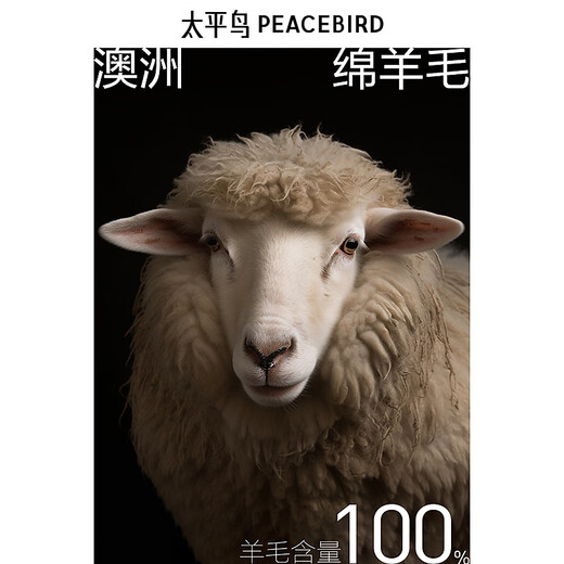 PEACEBIRD Men's Pure Wool Woolen Coat Men's Winter First-hand Long Woolen Coat Gray Second Batch L Size Too Big