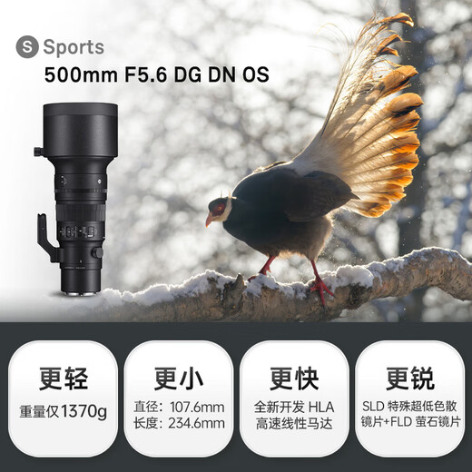 Sigma 500mm F5.6 DG DN OS full-frame mirrorless super telephoto zoom lens for shooting birds and lotus Sony FE mount