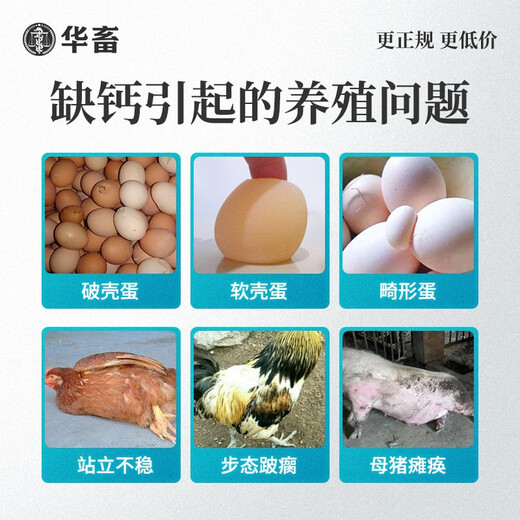 Huazhu High Calcium Shell Powder 20Jin Jin is equal to 0.5kg Layer Feed Additive Calcium Anti-soft Shell Duck Goose Quail Bird Pig Cattle and Sheep Trace Element 5 bags as low as 26.98/bag Shell powder total 100Jin Jin is equal to 0.5kg