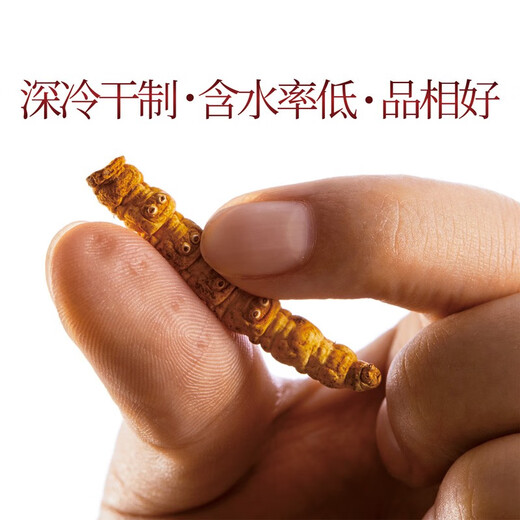 Crystal Grass Cordyceps sinensis frisch getrockneter cordyceps Geschenkbox Business Geschenkbox für Älteste Spezielle Klasse Broken Cordyceps 1g