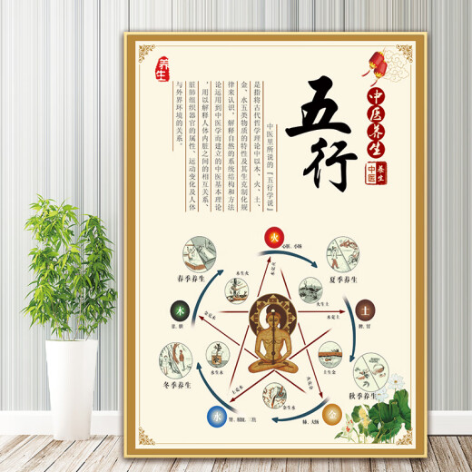 CLCEY生病的步骤海报图片中医养生馆装饰画养生之道九种体质墙贴画艾灸 6 相纸90*12048寸