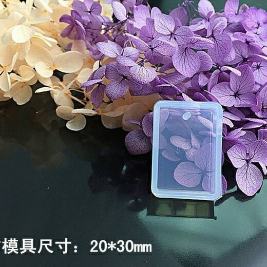 Fat Donglai quality amber insect diy material specimen epoxy resin ab glue crystal glue mold collection from five combinations