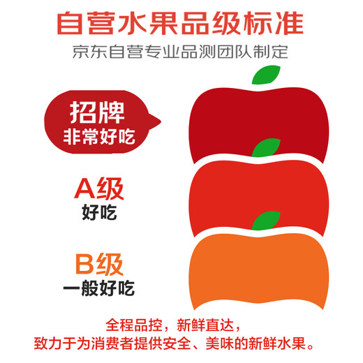 Jingxiansheng seedless Kirin watermelon, net weight 5-7Jin Jin is equal to 0.5kg, 1 fresh fruit straight from the source
