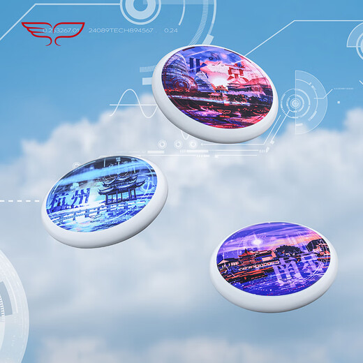 YIKUN DISCS Official Direct Sales City Series Frisbee 175g Team Sports 175g Unlimited Color-Nanjing