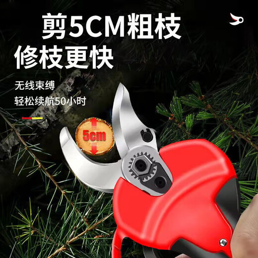电动剪刀剪树枝电动果树剪子充电式锂电池修枝剪桃树果园桑树剪枝剪园艺园林花圃粗枝花椒修剪工具鸿略 698VF【5公分】双电3刀+腰包