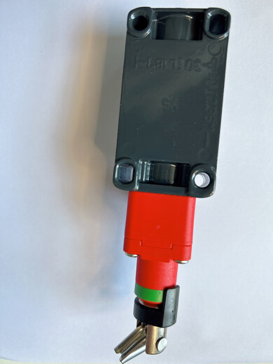 Original imported pizzato pull rope switch FD978 in stock