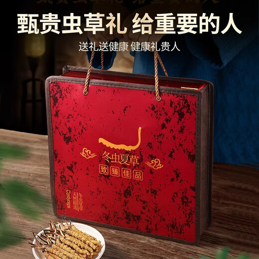 Xinshengtang première période Cordyceps Boîte cadeau authentique cadeau pour les parents et les aînés pour offrir aux clients à nourrir les cadeaux et nutritifs [4 bâtons / g 50 Sticks-2,5 grammes]
