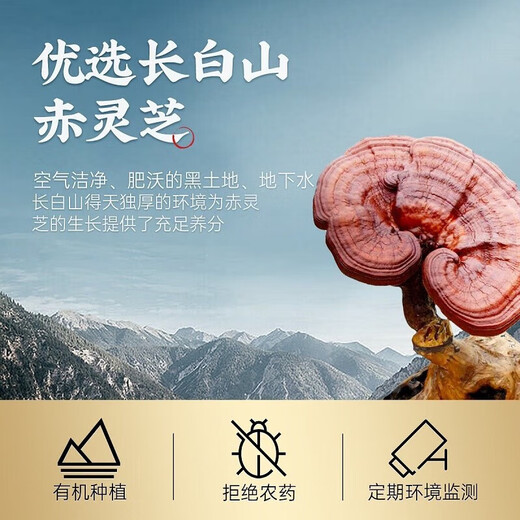 
Renhe Breaking Wall Ganoderma lucidum spore powder High-concentration Sanmu Changbaishan Ganoderma lucidum spore powder Middle-aged and elderly nourishing health products to enhance immune visits and give gift bags 2 boxes * 60 bags/60g [gift bags]