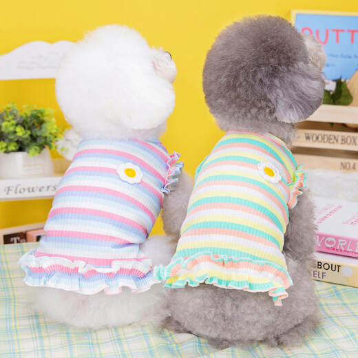 First idea of ​​pet cat clothes princess pure cotton small dog Pomeranian Bichon teddy vest skirt spring summer autumn pink rainbow suspender skirt XL (approximately suitable for 8-10Jin [Jin equals 0.5 kg])