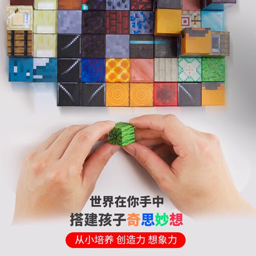 布鲁奇我的世界磁力方块儿童玩具1-3-6岁磁力积木大颗粒六一儿童节礼物