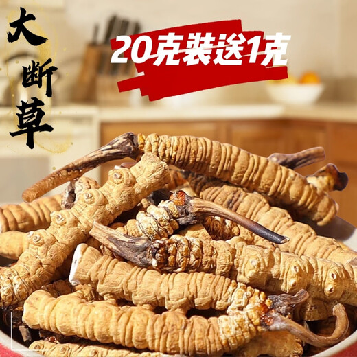 Cordyceps sinensis Snow Mountain Natural Cordyceps Sinensis große gebrochene Cordyceps Sinensis essen großes gebrochenes Gras und erschwingliche Suppe und kauen 50 Gramm Cordyceps sinensis großes gebrochenes Gras (56 Gramm Pack)