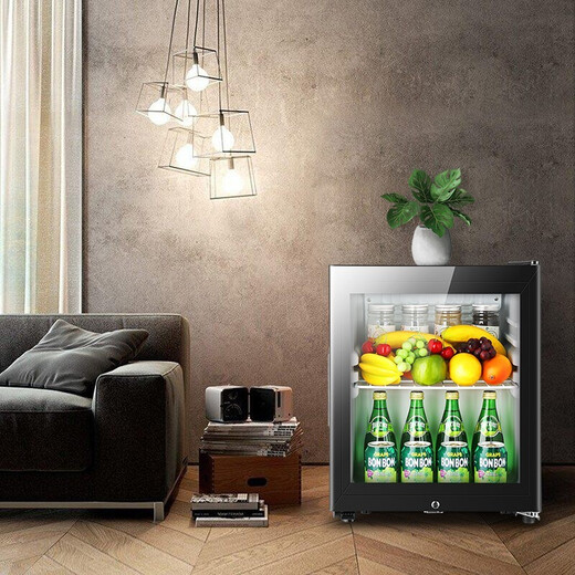SAST ice bar refrigerator European style constant temperature wine cabinet office hotel home refrigerator mini small single door gaming tea preservation cabinet display sample beverage medicine cabinet 50 liters black (fully refrigerated preservation + lock)