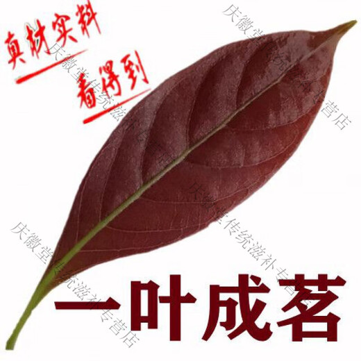 
My family Yutang Duosui Shi Ke Sweet Tea Wood Ginger Leaf Ke Sweet Tea Chongqing Liangping Specialty Tea Fragments 250g Non-green Money Willow Thorn Tea 1 bag 250g