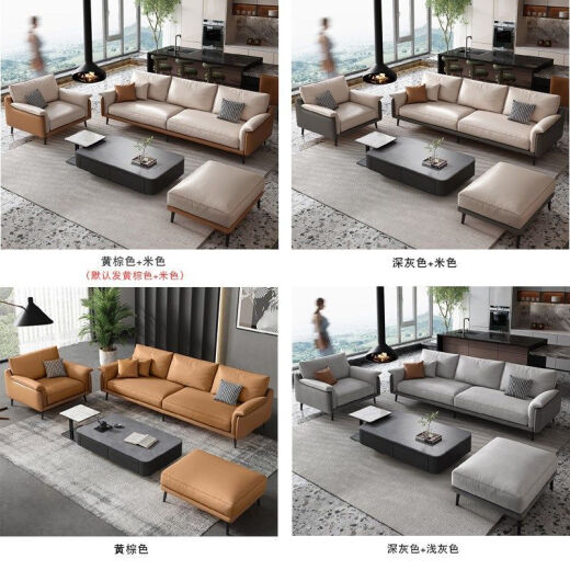 Satine Nordic sofa simple modern light luxury living room small apartment reception room leather room sofa combination [Xipi]) single seat (other colors note)