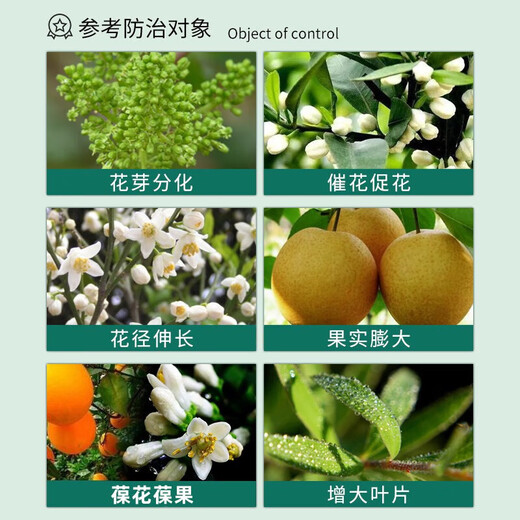Guoguang 3% gibberellin 920 citrus grape fruit germination and fruit preservation to improve fruit setting gibberellic acid plant growth regulator 50ml*5 bottles
