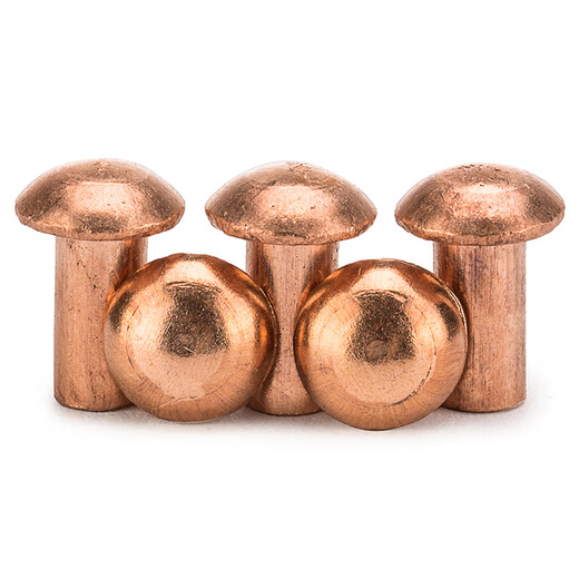 Huilide Copper Rivet GB867 Cabeza semi-redonda de cobre sólido Rivet sólido Cobre de cobre M2.5M4M5M6M8 2.5x8 [200 piezas]