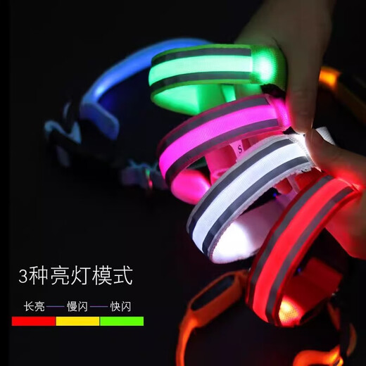 Haiyiduo Pet Luminous Collar Dog Golden Retriever Teddy Cat Small Dog Anti-lost Collar Luminous Night Dog Walking Collar Luminous Collar Battery Model Recommended 5-20 Jin Jin equals 0.5 kg