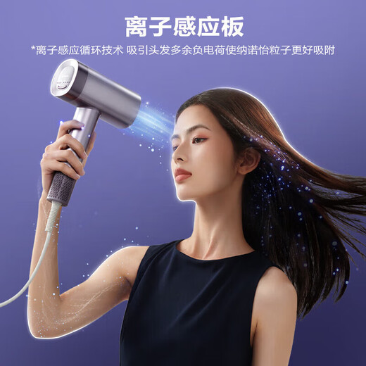 Panasonic Hair Dryer Home Hair Dryer Portable Foldable High Speed Silent Negative Ion Hair Care High Power Hair Dryer Birthday Gift for Girlfriend, Wife, Chinese Valentine's Day Gift EH-NW90 Star Flame Powder Gift Box Nanoyi Moisturizing Hair Care